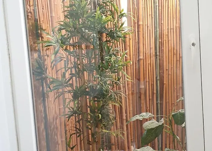 Station - Centro בארי