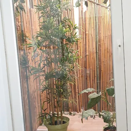 Station - Centro باري